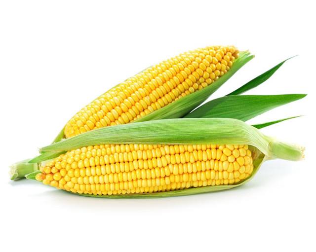 Corn
