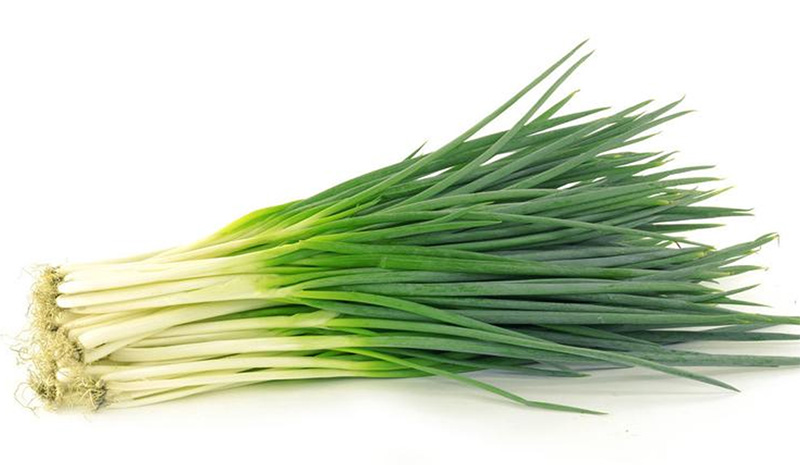 Shallot