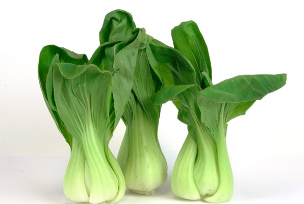 Brassica Campestris