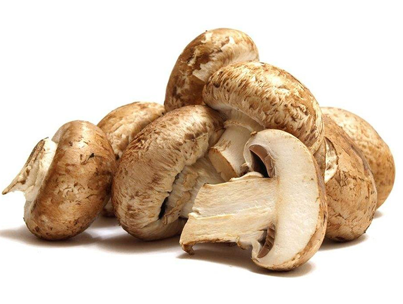 Mushroom